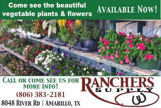 Ranchers Supply in Amarillo, Texas invites customers to come see their beautiful selection of vegetable plants and flowers available now. Whether you are planting a garden or adding color to your landscape, Ranchers Supply offers a variety of healthy plants ready for the season. Stop by their location at 8048 River Road in Amarillo or call (806) 383-2181 for more information and assistance from their friendly team. PN50350