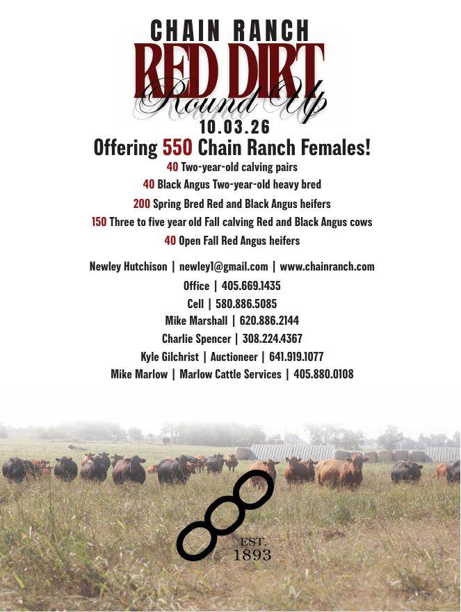 Chain Ranch will hold its Red Dirt Round Up on October 3, 2026, offering 550 Chain Ranch females. The offering includes two-year-old calving pairs, heavy bred Black Angus females, spring bred Red and Black Angus heifers, fall calving Red and Black Angus cows, and open fall Red Angus heifers. Contact Chain Ranch for additional sale information. PN51038
