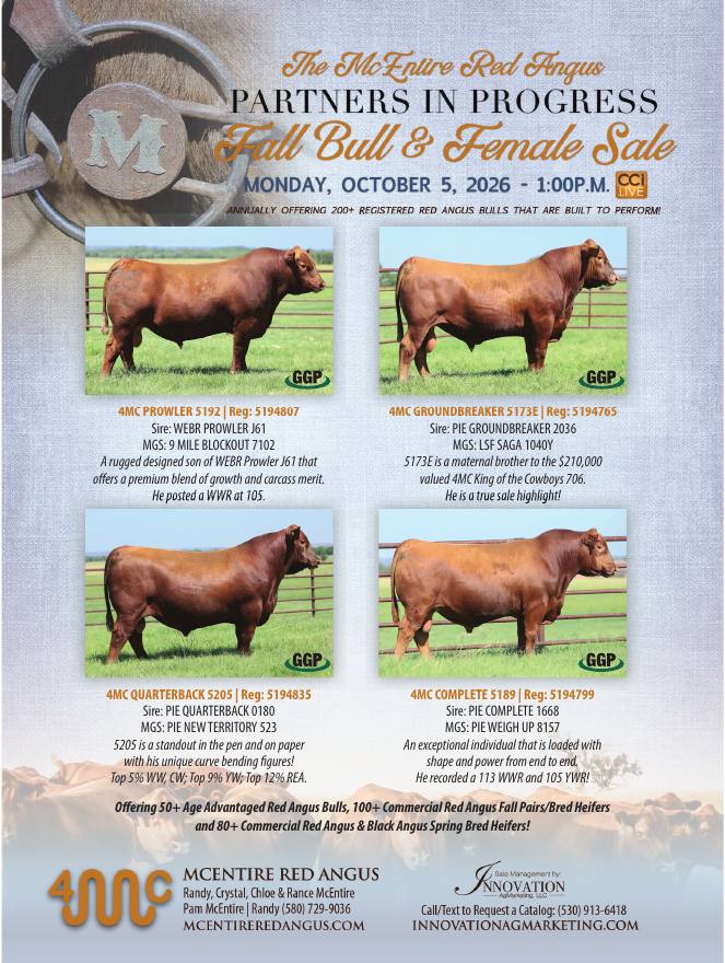McEntire Red Angus invites cattle producers and buyers to their Fourth Annual Fall Gathering, happening Monday, October 5, 2026, at 1:00 pm in Sweetwater, Oklahoma. The event features high-quality Red Angus genetics. Mark your calendars, and don’t miss this opportunity to add proven Red Angus genetics to your herd.https://mcentireredangus.com/annual-sales4MC PROWLER 5192 | Reg: 5194807
Sire: WEBR PROWLER J61
MGS: 9 MILE BLOCKOUT 7102
A rugged designed son of WEBR Prowler J61 that
offers a premium blend of growth and carcass merit.
He posted a WWR at 105.
4MC GROUNDBREAKER 5173E | Reg: 5194765
Sire: PIE GROUNDBREAKER 2036
MGS: LSF SAGA 1040Y
5173E is a maternal brother to the $210,000
valued 4MC King of the Cowboys 706.
He is a true sale highlight!
4MC QUARTERBACK 5205 | Reg: 5194835
Sire: PIE QUARTERBACK 0180
MGS: PIE NEW TERRITORY 523
5205 is a standout in the pen and on paper
with his unique curve bending figures!
Top 5% WW, CW; Top 9% YW; Top 12% REA.
4MC COMPLETE 5189 | Reg: 5194799
Sire: PIE COMPLETE 1668
MGS: PIE WEIGH UP 8157
An exceptional individual that is loaded with
shape and power from end to end.
He recorded a 113 WWR and 105 YWR!
Offering 50+ Age Advantaged Red Angus Bulls, 100+ Commercial Red Angus Fall Pairs/Bred Heifers
and 80+ Commercial Red Angus & Black Angus Spring Bred Heifers!
26_McEntire_6X8.indd 1 PN51040